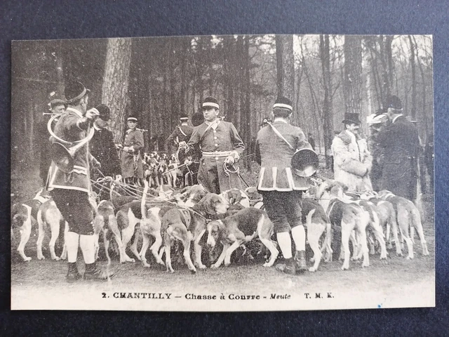 cpa 60 - CHANTILLY (Oise) CHASSE à COURRE Fox Hunting MEUTE de BASSET SONNEURS