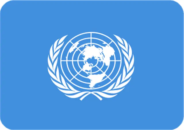 United Nations Rectangle Aluminium Fridge Magnet Souvenir