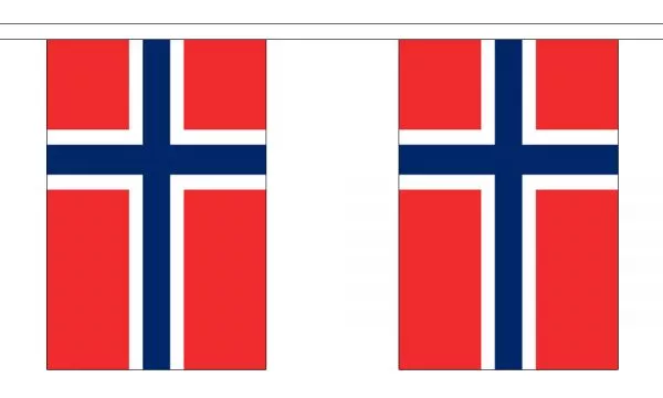 Norway Flag Bunting - 3m 6m 9m Metre Length 10 20 30 Flags - Polyester