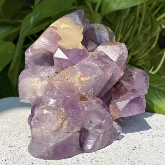2.28lb Crystal amethyst skull quartz crystal sculpture natural gem collection
