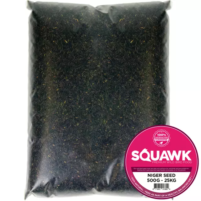 SQUAWK Niger Seeds - Quality Wild Bird Feed High Energy Garden Finch Food