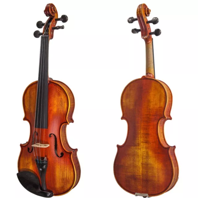 Paititi 4/4 Size PTTVN07A Intermediate Level Violin with Case, Bow and More