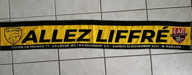 Football. Historique: Vannes en finale de la Coupe de la Ligue