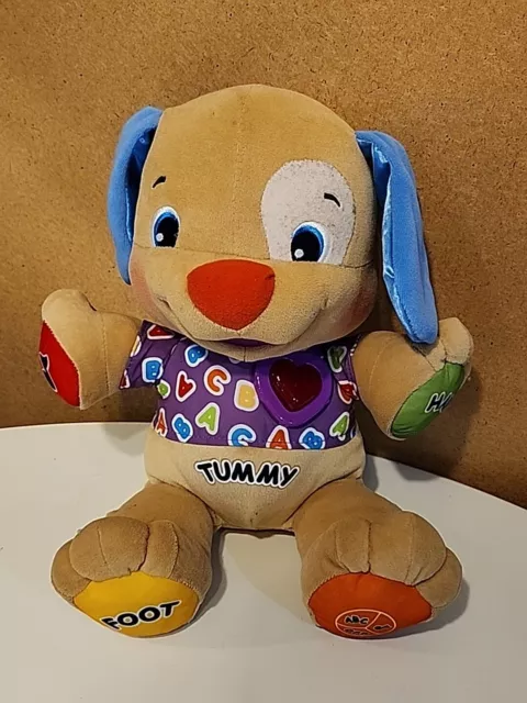 Fisher Price Musical Tummy Interactive Talking Bear Plush Battery Operated Works