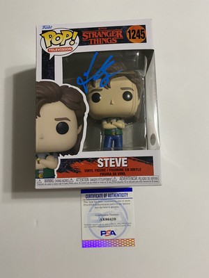 pop steve harrington