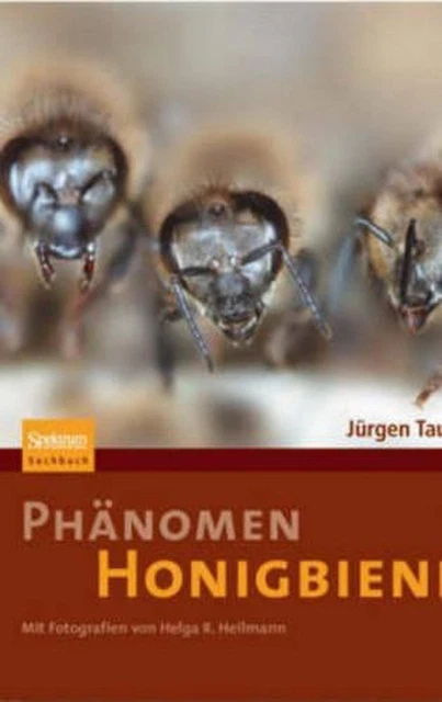 Phanomen Honigbiene by Jurgen Tautz (German) Hardcover Book