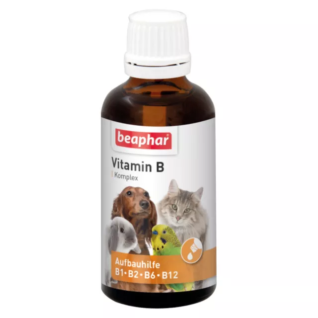 Beaphar Vitamina B Komplex 50ML Añadido de Alimentación Mascota Perros Gatos