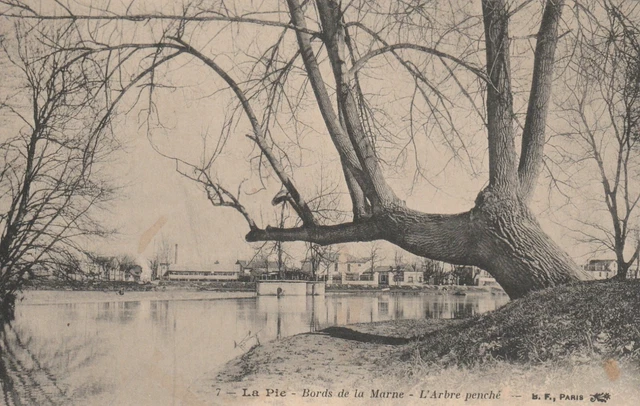 CPA 94 SAINT MAUR DES FOSSES LA PIE Bords de la Marne L'Arbre Penché