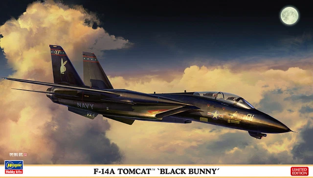 F-106A Delta Dart 'Bicentennial' Hasegawa 02402