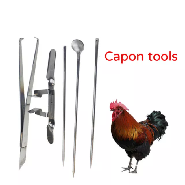 CAPON KNIFE STAINLESS Veterinary Castration Poultry Chicken 5Pc Poultry ...