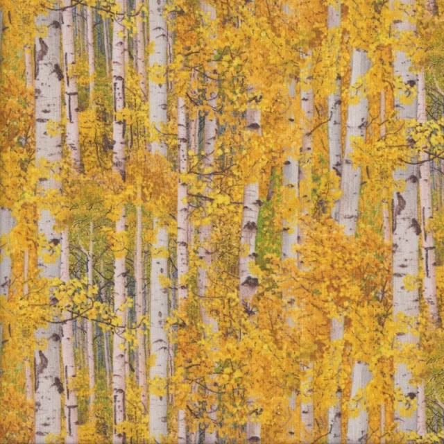 NEW Birch Trees with Yellow Leaves Landscape Quilting Fabric 1/2 Metre