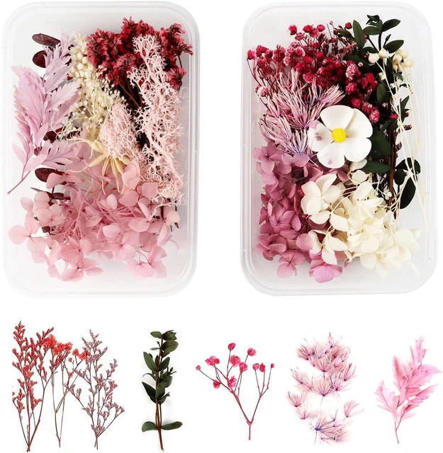 30 Fiori Secchi Naturali Per Decorazioni - Gypsophila, Lavanda, Nontiscordardime, Per Vaso, Resina, Bomboniere - Foto 14