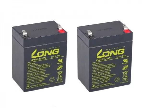 Batteria compatibile sollevatore a leva HLU-3 E-0 2x 12V 2,9Ah piombo AGM esente da manutenzione