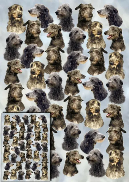 Deerhound Dog Gift Wrapping Paper by Starprint - Semi gloss with matching card