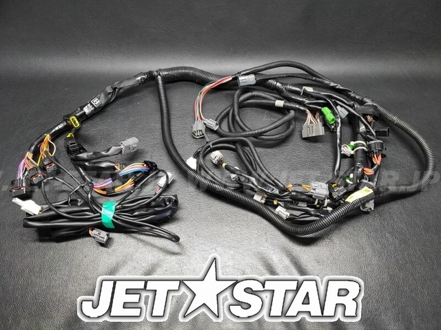 YAMAHA AR242LIMITED S'10-11 WIRE HARNESS ASSY 1 Used [X2305-27]