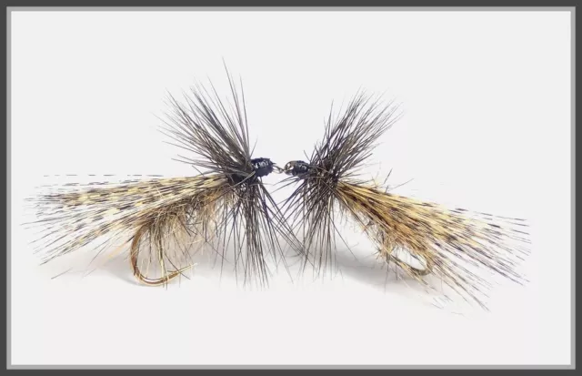 Peche Mouches - Sedges Canard Cane Chevreuil Classiques - Parachutes - Pardo