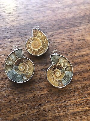 Old Stock 3 pieces Ammonite Fossil Pendant Silver Beads Lot