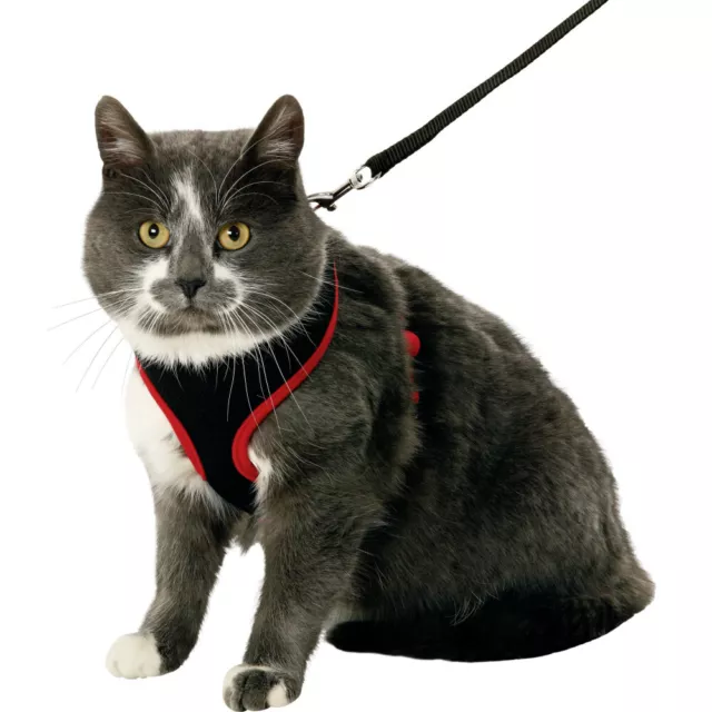 Harnais pour chatons, couleur noir et rouge, taille S, réglable