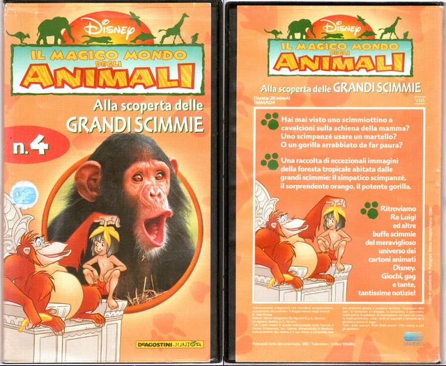 VHS IL Magico Mondo Degli Animali, Alla Scoperta Delle Grandi Scimmie Disney 2.06 PicClick VHS IL Magico Mondo Degli Animali, Alla Scoperta Delle Grandi Scimmie Disney 2.06 PicClick