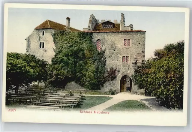 50573098 - Habsburg Schloss Aargau AG