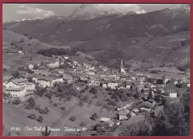 TRENTO TESERO 14 VAL DI FIEMME Cartolina FOTOGRAFICA viaggiata 1965