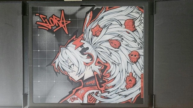 新品未開封 Wallhack SP-004 - Drift Sora s-l400.jpg