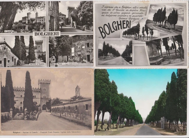 4 Vecchie Cartoline Di Bolgheri - Livorno - Vedute Varie - Formato Grande