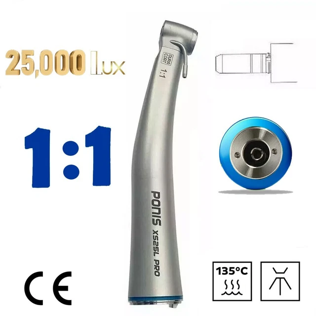 613263_4
