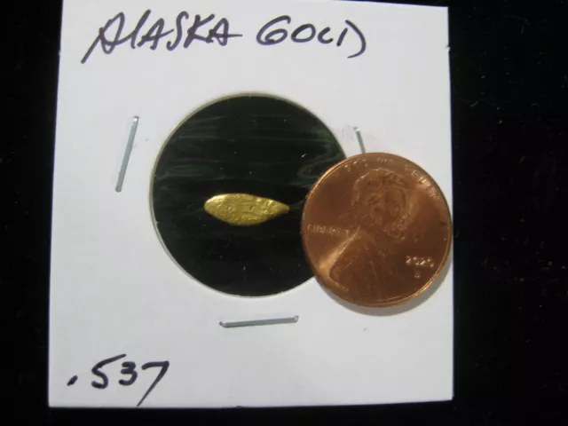 Alaska Gold  .537 Gram