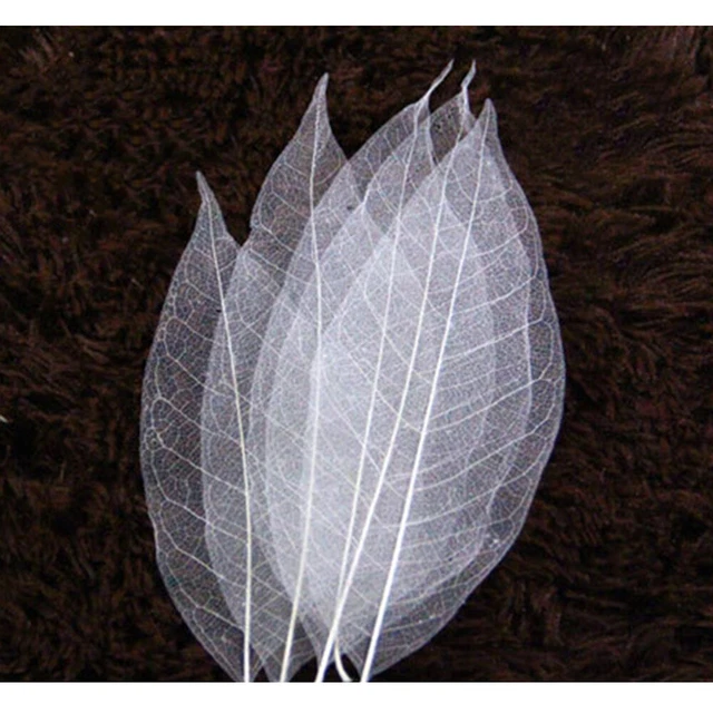 Decoración de boda de bambú adornos de hojas para álbum de recortes hoja marcador