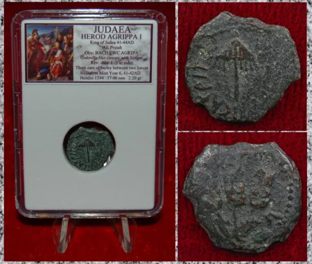 Ancient Coin JUDAEA Prutah HEROD AGRIPPA I Appointed By Caligula Jerusalem Mint
