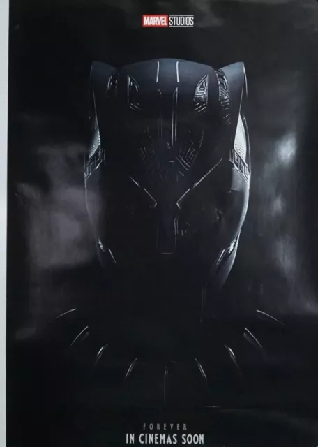 Black Panther Wakanda Forever original DS movie poster - 27x40 D/S Adv - MINT