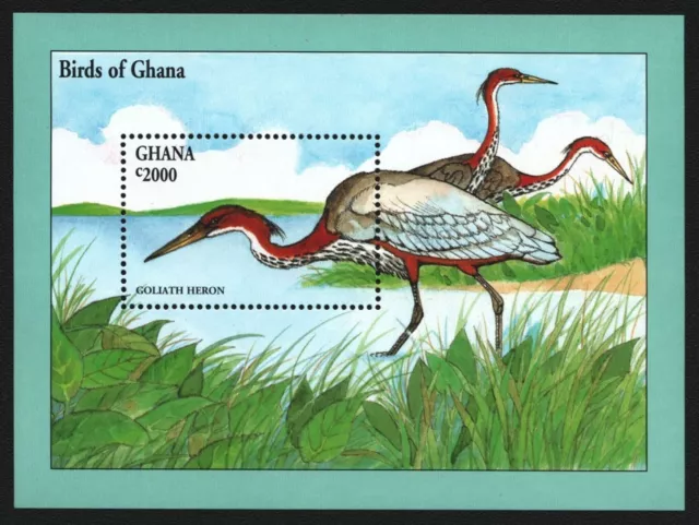 Ghana 1994 - Mi-Nr. Block 252 ** - MNH - Vögel / Birds