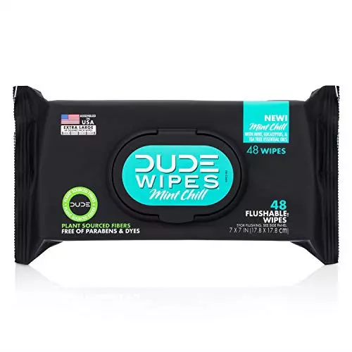 DUDE Wipes Flushable Wipes Dispenser, Mint Chill, 48Count - Scented Wet Wipes &