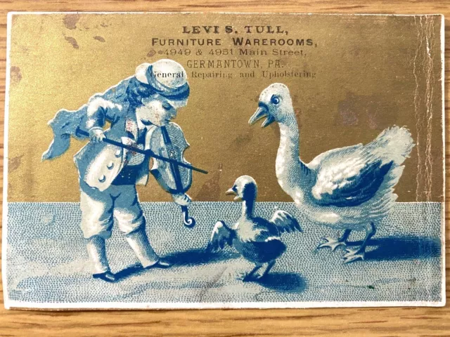 1880s LEVI S. TULL FURNITURE antique advertising VICTORIAN TRADE CARD boy geese