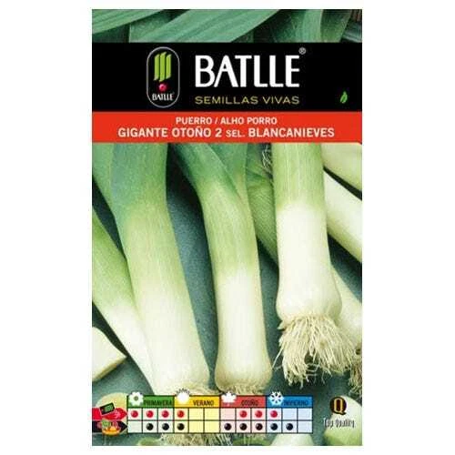 Semi Di Barbabietola Da Zucchero Nera Lunga Batlle - 9300 Semi, Per Orto - Foto 4