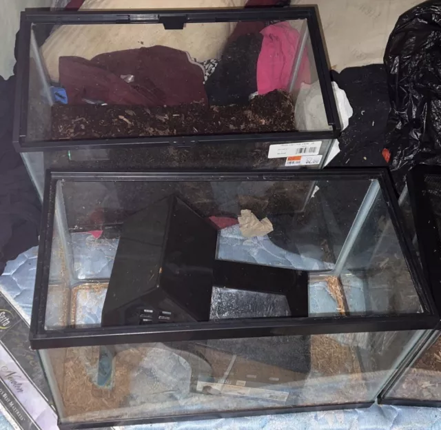 aquarium tank