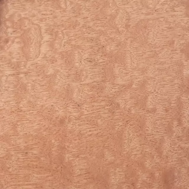 [Incudo] Chapa de madera natural con respaldo de papel Pomelle Sapeli - 300x200x0,25 mm