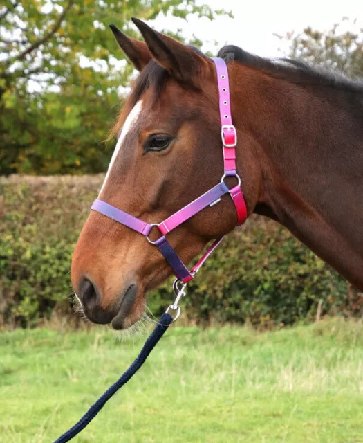 Hy Equestrian Ombre Head Collar and Lead Rope Set Teal/Blue/Pink/Purple/Rainbow