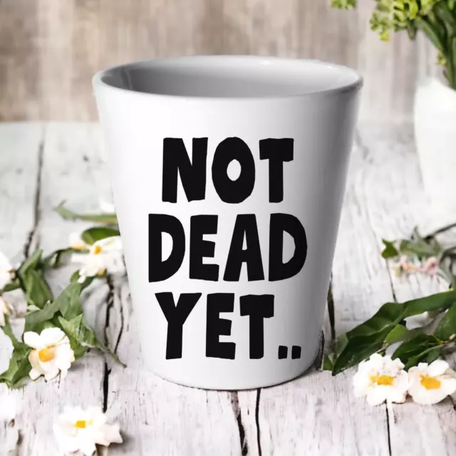 Not Dead Yet Plant Pot Flower Succulent Funny Joke / Birthday New Home Gift