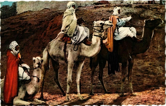 CPA AK Le repos dans le Désert ALGERIE (874332)