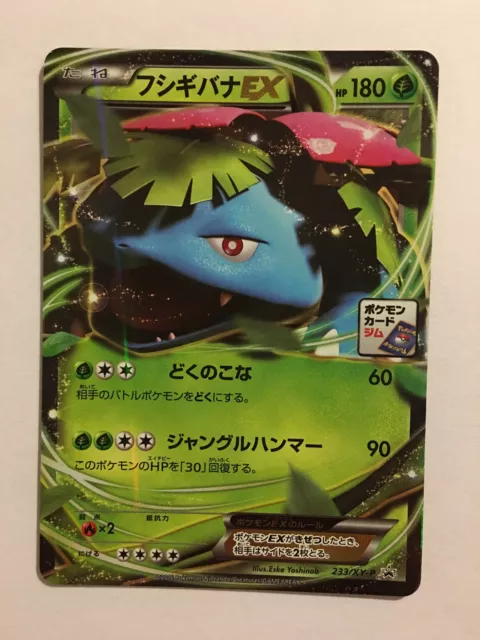 Pokemon Card / Floral Card EX Holo Promo 233/XY-P