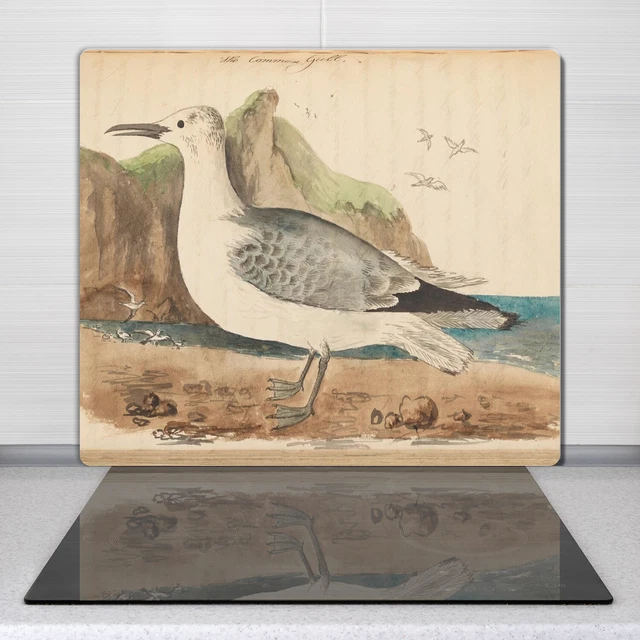 Planche De Cuisine En Verre Trempé Coloray - Motif Ange Antique 60x52cm, Blanc