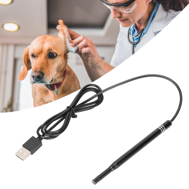 Kit de extracción de cera para oídos 5,5 mm HD cámara limpiador de oídos con luces LED ajustables Fo AP9