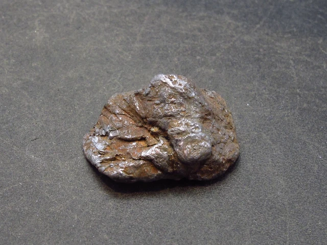 Rare Molybdenite Crystal From Canada - 0.8" Rare Molybdenite Crystal From Canada - 0.8"