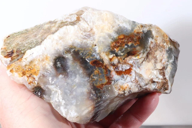 Oregon Graveyard Plume Agate 2 lb 12 oz. lapidary rough lot 3