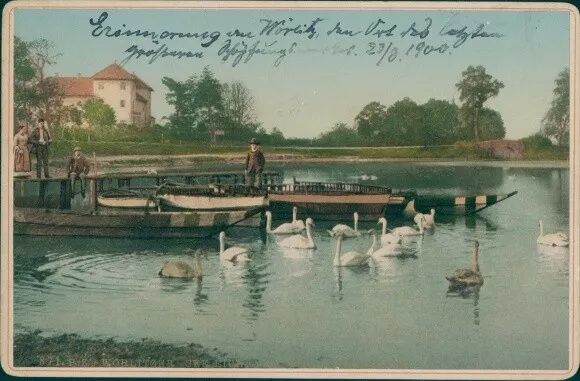 Kabinettfoto Oranienbaum Wörlitz Sachsen Anhalt, Bootsfahrt,... - 10478327