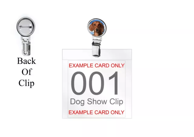 Dachshund Puppy codey21 DOME on a Dog Show Ring Clip and Number Card Holder