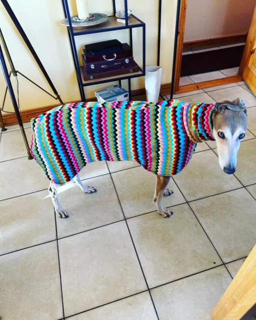 dog Snood jumper fleece house coat italian whippet lurcher zigzag 22” 3