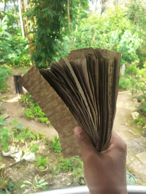 100 dried banana leaves Anti Bacteria Relieve stress Fish Aquarium Shrimp Clean